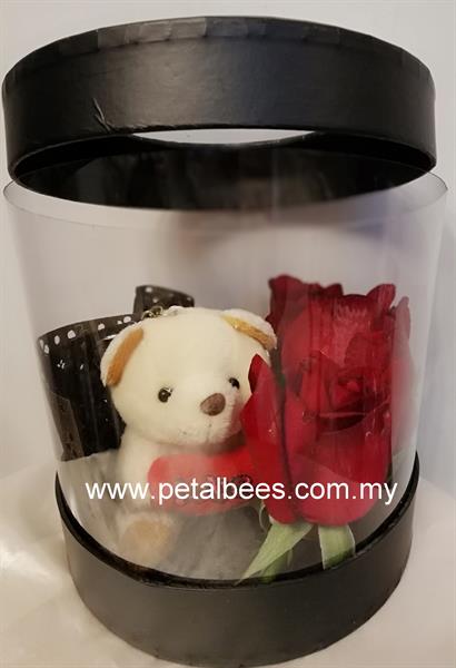 Kedai teddy hot sale bear