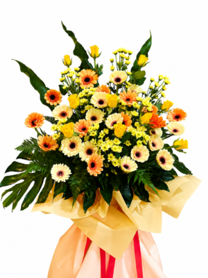 FS0558