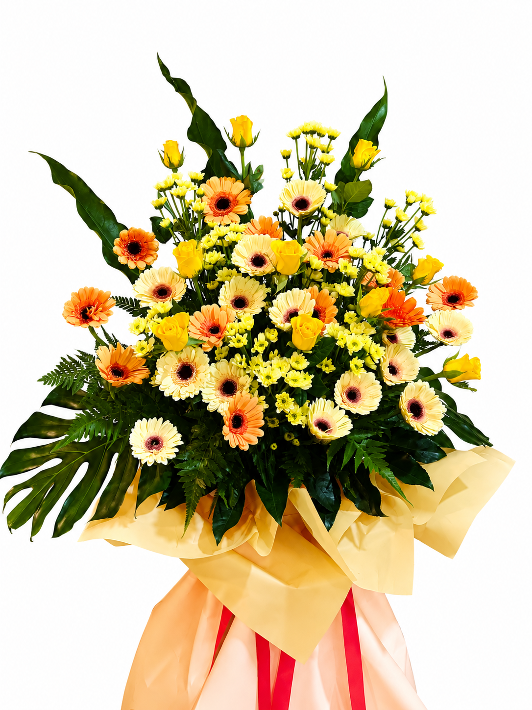 FS0558